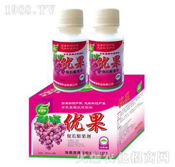 ���L(zh��ng)�����-��(y��u)��-��˼�D�r(n��ng)�I(y��)