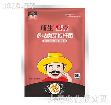 ��ճ�ѿ�ߗU��-�������-����ɭ