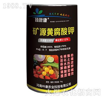 �VԴ�S�����-���~��-�~���r�I(y��)