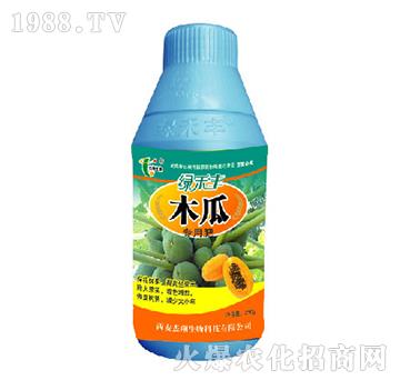 ľ�ό��÷�-�G���S-��������