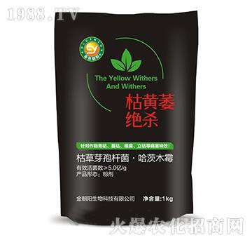 枯黃萎絕殺-金朝陽