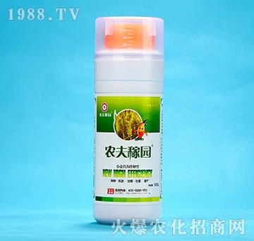 С���I(y��ng)�B(y��ng)��N��-�r(n��ng)��ڈ@