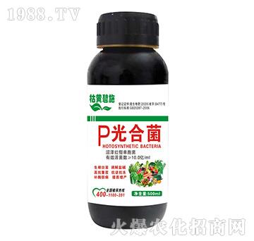 P��Ͼ�-���S��ʩ-����