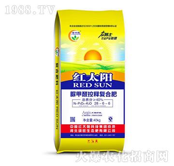 ���ȩ��ጏ�(f��)�Ϸ�28-6-6-�t̫�-�G��