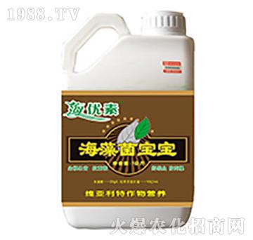 ���������-�S������