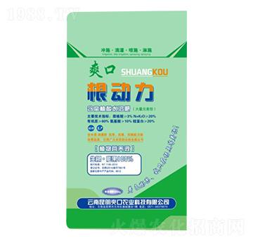 20kg����ֳ��ˮ�ܷ�-����(d��ng)��-�µ����