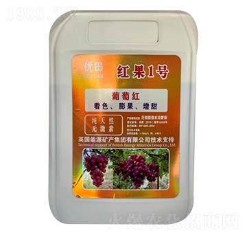 �t��1̖-��(y��u)��-�µ����