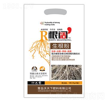 ������-������