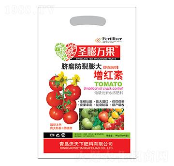 Ě������������t��-ʥ