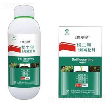 �������Ʉ�-������-Ħ����