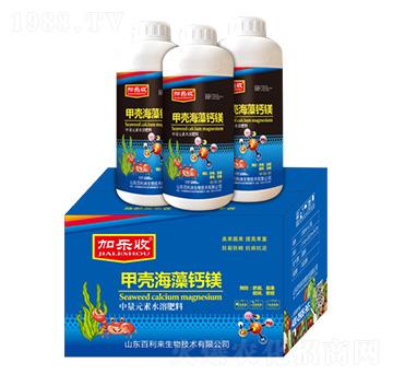 �ך������}�V-�Ә�(l��)��-������(l��i)