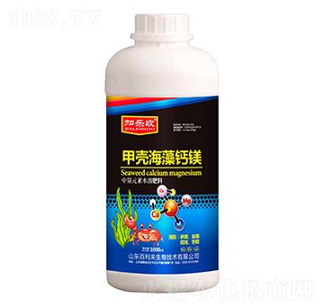 ƿ�b�ך������}�V-�Ә���-������