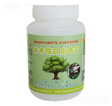 ��ľ�������ϸ�-�r(n��ng)�־G