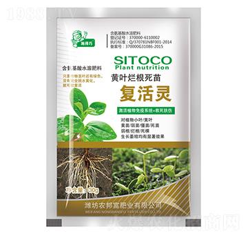 �S�~���������(f��)���`-�r(n��ng)