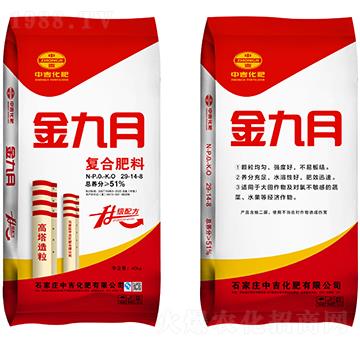 ��(f��)�Ϸ���29-14-8-�����-�м�����