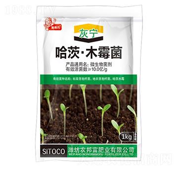 ���ġ�ľù��-�Ҍ�-�r(n��ng)