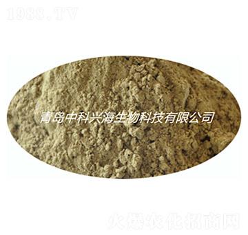 ø�⺣�凊�ɷ�-�п��d��