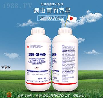 20%���衤���x��-��