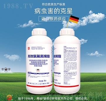 25��ÿ����Ч�ȷ����