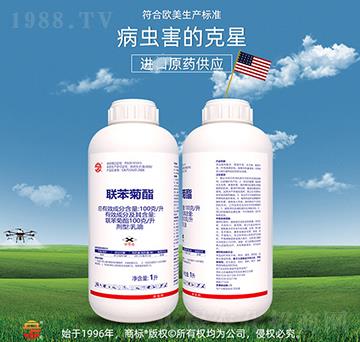 100��ÿ��������-��ռ�r�Y