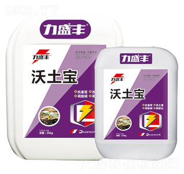 ��ʿ��-����