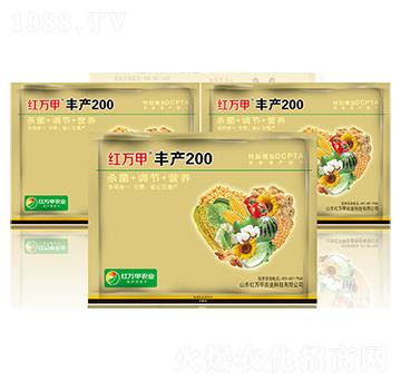 �S�a(ch��n)200-�t�f��