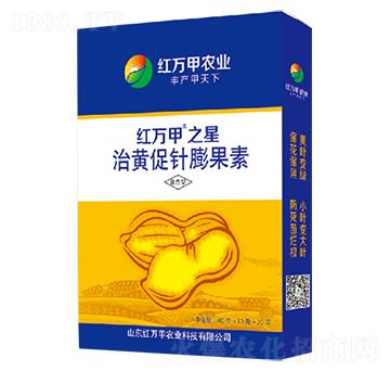 ���S��������-�t�f(w��n)��֮��