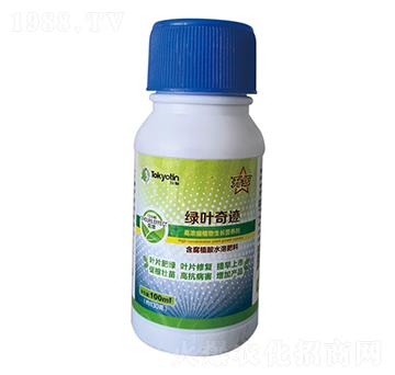 �G�~���E-�����r(n��ng)�I(y��)