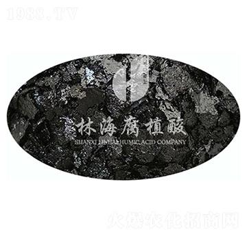 �S⛴���Ԫ��-�ֺ���ֲ��