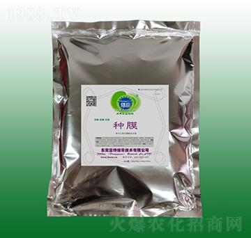 �NĤ������N�Ӱ�����-��������