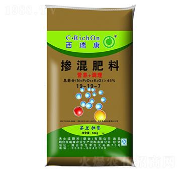 �������19-19-7-��֮��