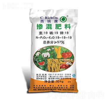 �������19-19-19-����-��֮��