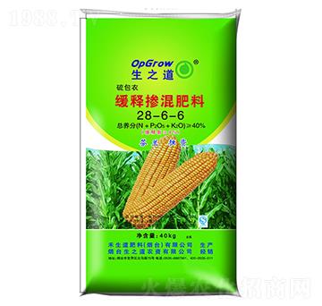 ��ጓ������28-6-6-��֮��