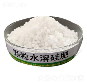 �w��ˮ�ܹ��-����