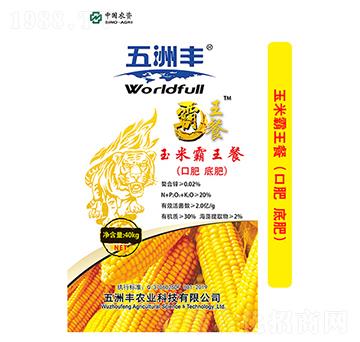 40kg���װ�����-��