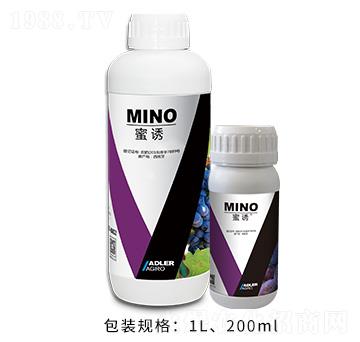 ���T-�͂��_