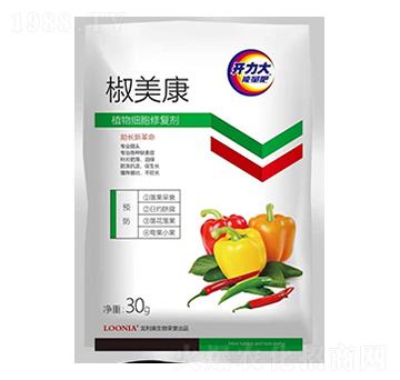 ֲ�：���ޏ�(f��)��-������-�����W