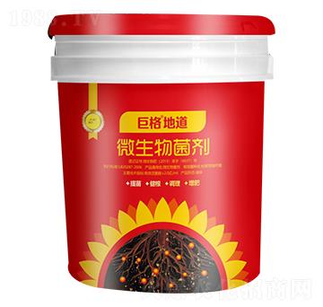 ΢�������-�ص�-�޸�����