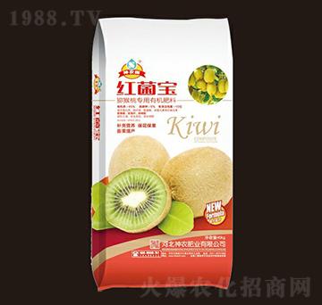 �J���Ҍ����ЙC(j��)����-�t�������r(n��ng)��-���r(n��ng)�ʘI(y��)