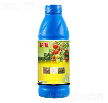 10%������w����-�ร-ӯ�x