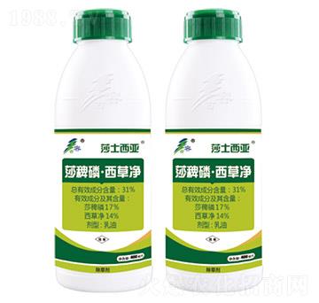 31%ɯ���ס����݃�-ɯʿ����-����