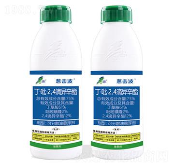 75%��������2��4���ή���֬-�[����-����