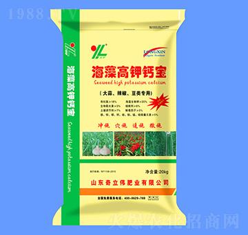 ������������ú����