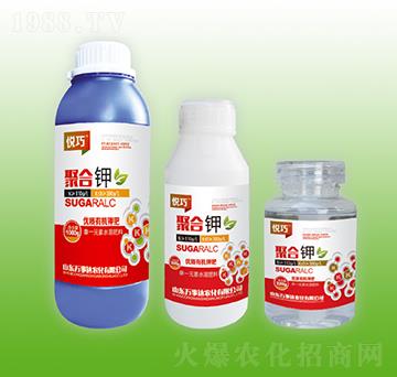 �ۺ��-����-�f���_