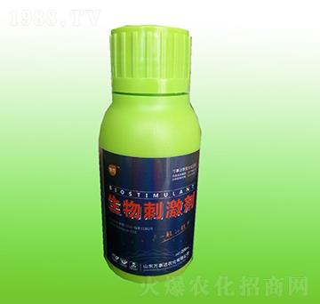 ����̼���-����-�f���_(d��)