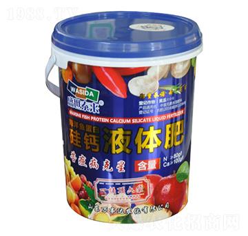 ���}Һ�w��-ʢ��̩��-�f���_(d��)