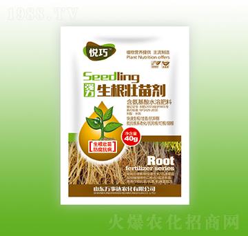 �������焩-����-�f���_