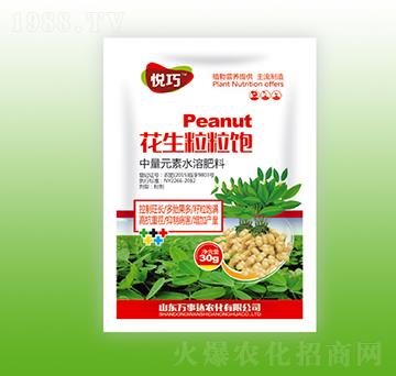 ���������-����-�f(w��n)���_(d��)