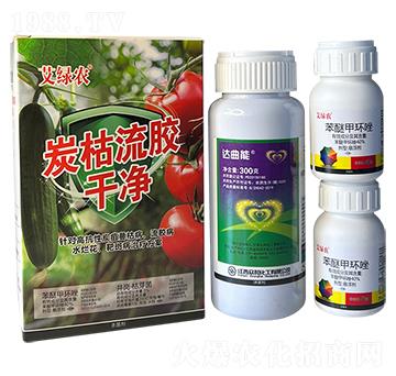 ̿�����z�Ƀ�-���G�r-���r�A��