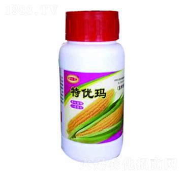 �؃�(y��u)�����׌�����-����